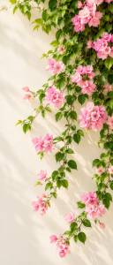 Picture for category Creeper Plants
